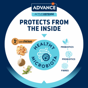 Comanda online ADVANCE Labrador & Golden Retriever