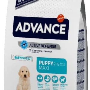 Comanda online ADVANCE PUPPY Maxi