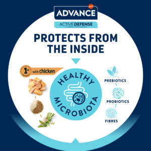 Comanda online ADVANCE Puppy Medium