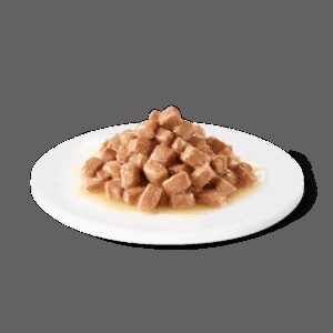 Comanda online ADVANCE VETERINARY DIETS Recovery