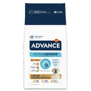 Comanda online Advance Dog Labrador & Golden Retriever