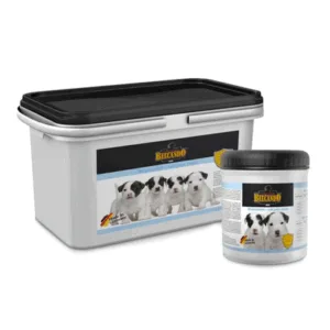 Comanda online BELCANDO Lapte praf pentru catei 0.5 kg