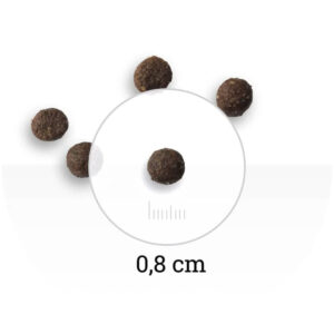 Comanda online BON APPETIT Puppy