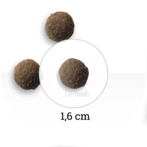 Comanda online BON APPETIT