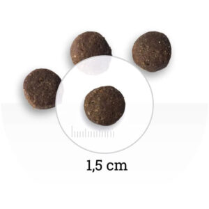 Comanda online BON APPETIT