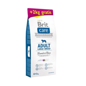 Comanda online BRIT Care Adult Large Breed
