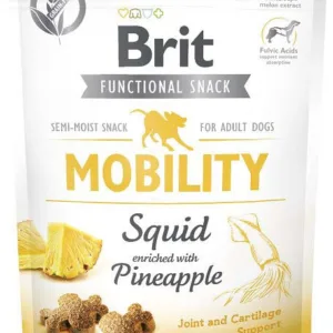 Comanda online BRIT Functional Snack Mobility