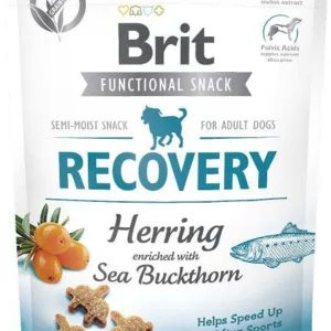 Comanda online BRIT Functional Snack Recovery