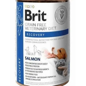 Comanda online BRIT Veterinary Diet Recovery Salmon hrana caini si pisici in convalescenta 400 g