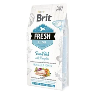 Comanda online Brit Fresh Fish and Pumpkin Adult Large