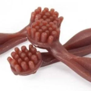 Comanda online CAMON Veggie Recompense pentru câini Periuţă