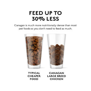 Comanda online CANAGAN Large Breed