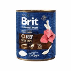 Comanda online Conserva Brit