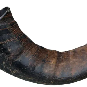 Comanda online Corn Natural Mare de Bivol 27743