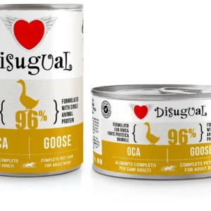 Comanda online DISUGUAL MONO Dog