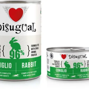 Comanda online DISUGUAL MONO Dog