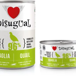 Comanda online DISUGUAL MONO Dog