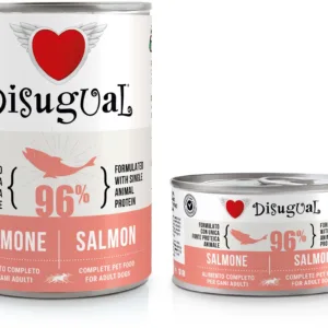 Comanda online DISUGUAL MONO Dog