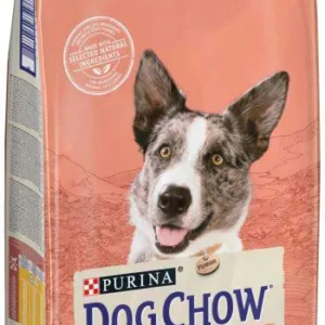 Comanda online DOG CHOW Hrană uscată pt câini Adult ACTIVE