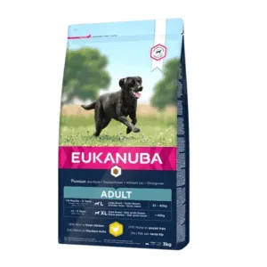 Comanda online EUKANUBA Adult Large Breeds Chicken Hrana uscata pentru caini adulti de talie mare