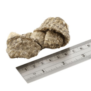 Comanda online FISH4DOGS Dental Sea Jerky Fish Knots