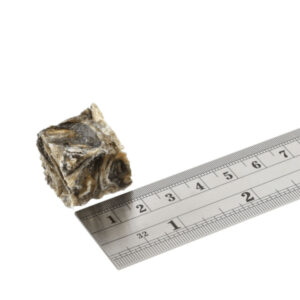 Comanda online FISH4DOGS Dental Sea Jerky Fish Tiddlers