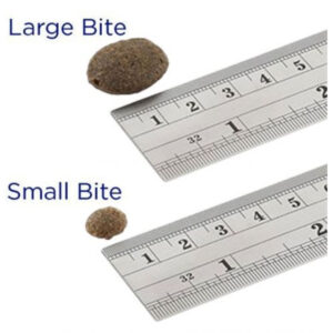 Comanda online FISH4DOGS Finest