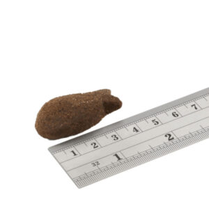 Comanda online FISH4DOGS Support+ Skin&Coat