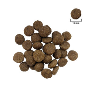 Comanda online FOR DOG Adult Maxi