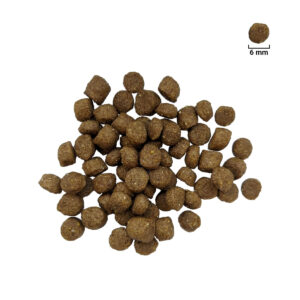 Comanda online FOR DOG Adult Mini