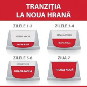 Comanda online HILL'S SCIENCE PLAN Adult Small&Mini