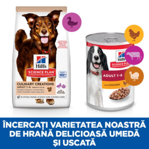 Comanda online HILL'S Science Plan Culinary Creations