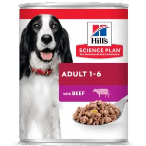 Comanda online Hill's Science Plan Canine Adult Beef