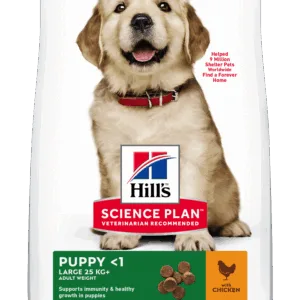 Comanda online Hill's Science Plan Canine Puppy Large Breed Chicken