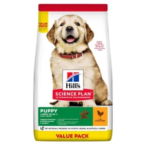 Comanda online Hill's Science Plan Canine Puppy Large Breed Chicken Value Pack