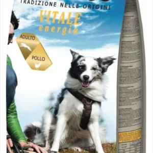 Comanda online Hrana uscata pentru caini DogDog Traditional cu Pui Energie Vitala 10kg
