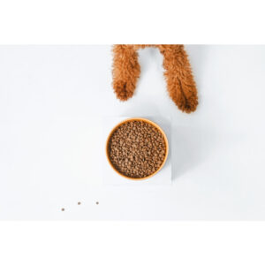 Comanda online NATURES PROTECTION Superior Care Red Coat Small & Mini Breed