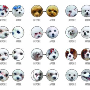 Comanda online NATURES PROTECTION Superior Care White Dogs Small&Mini