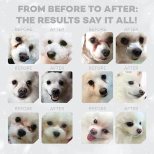 Comanda online NATURES PROTECTION Superior Care White Dogs