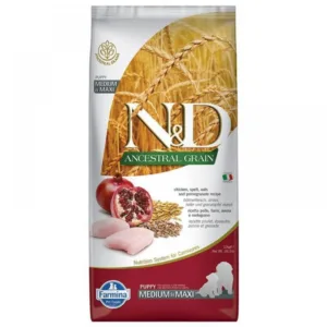 Comanda online ND Ancestral Grain Puppy Medium Maxi