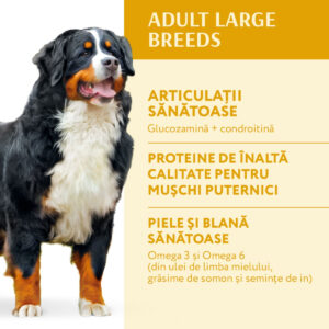 Comanda online OPTIMEAL Adult L-XL