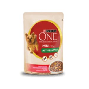 Comanda online One Mini Dog Adult