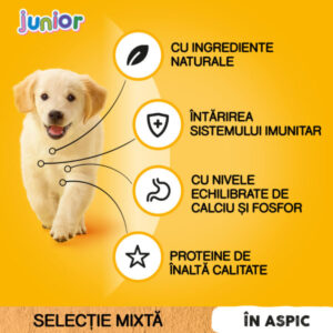 Comanda online PEDIGREE Junior Selectie Mixta