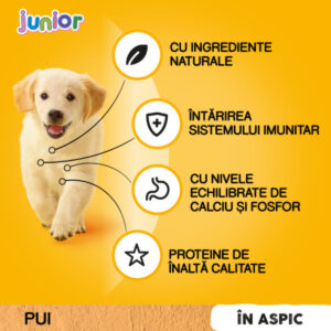 Comanda online PEDIGREE Junior