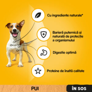 Comanda online PEDIGREE