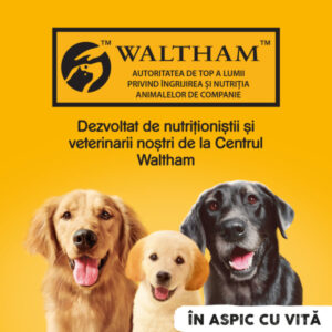 Comanda online PEDIGREE