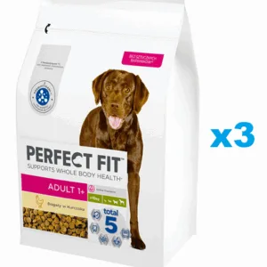 Comanda online PERFECT FIT Adult 1+ 3x2