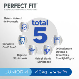 Comanda online PERFECT FIT Dog Junior Small