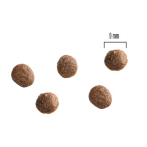 Comanda online PRIMA DOG Puppy