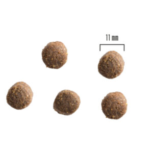 Comanda online PRIMA DOG